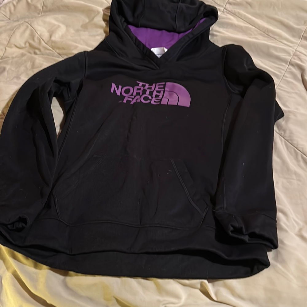 The north face women’s hoodie size large. EUC. no flaws